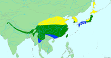 The year-round range extends along the southern Himalayas into southern China, as well as Taiwan, southwestern Korea, and central Japan. The summer range is further north in China, Korea, and Japan, and also includes Sakhalin. The winter range extends further south in China, Southeast Asia, and Japan.