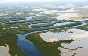An aerial view of a river zigzagging sharply through a damp field.