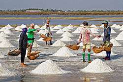 Salt farmers at tambon Laem Phak Bia