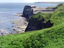Photograph of grass-topped cliffs and the sea.  Flat, bare rock can be seen where the sheer cliffs meet the water