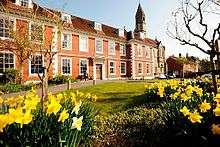 Sarum College surrounded by daffodils