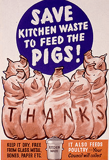 Several pigs arranged in a semi-circle at the foreground, looking towards the centre and the words "Save Kitchen Waste to feed the Pigs!". "Thanks" is printed letter-by-letter along their backs. Instructions at bottom right ask for kitchen waste to be kept dry and free from glass, metal, bones, paper etc. Opposite, it says "it also feeds poultry" and that "Your Council will collect"