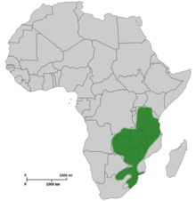 Map of Africa showing highlighted range covering much of eastern Africa from Tanzania to South Africa.