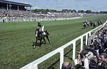 The home stretch of the 1981 Derby with Shergar about ten lengths ahead of the other horses