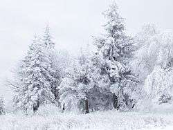 Snow in Bulgaria