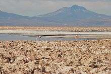 A lake with flamingos in the middle; in the background a ridge and a flat conical mountain