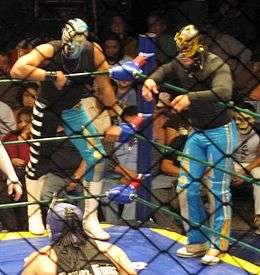 A picture of two masked wrestlers, La Sombra and Volador Jr., watching a wrestling match from the apron.