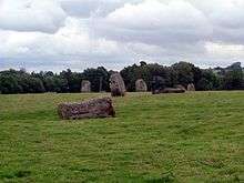 standing grey stones in a grassy field with trees in the distance
