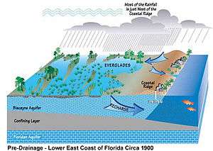 Color digital illustration of the historic water drainage in South Florida, showing underground layers: a full Biscayne aquifer on top, a middle confining layer of rock, and the Floridan aquifer at the bottom; arrows indicate the Biscayne aquifer is recharged by the Everglades and is bordered by the Atlantic Ocean underground. Text indicates the Everglades are fed by rainwater that falls to the west of the Atlantic Coastal Ridge