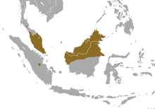 Northern Borneo, southern Malay peninsula, and central Sumatra