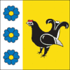 Flag of Stara Vyzhivka Raion
