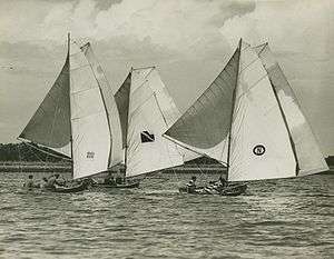 Twelve foot skiffs under full sail on the Hamilton Reach section of the Brisbane River.