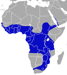 Subsaharan Africa excluding the Horn of Africa and the Kalahari Desert