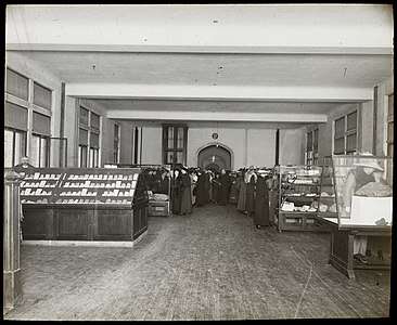 Students in temporary exhibition of minerals, Victoria Memorial Museum Building, 1912