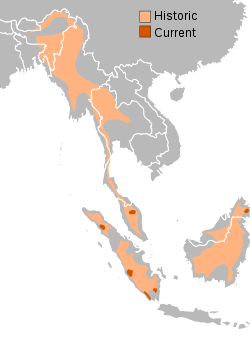 Sumatran rhino range