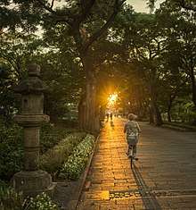 A bicycle rides along a tree-lined path at Sumiyoshi Park