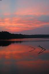 Pink clouds in a dark purple-blue sky are reflected in a smooth lake. At the horizon is a line of dark trees, and two branches stick out of the water in the middle of the image.