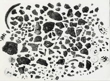 Black and white photograph taken before the second reconstruction, showing hundreds of fragments laid out individually and randomly on a white background.