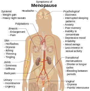 Diagram of human body showing parts affected by menopause