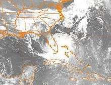 Satellite image of tropical storm making landfall on Florida.