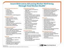 A full page of listing of issues relevant to NIOSH Total Worker Health, broken into the following categories: Control of Hazards and Exposures, Organization of Work, Built Environment Supports, Leadership, Compensation and Benefits, Community Supports, Changing Workforce Demographics, Policy Issues, and New Employment Patterns.