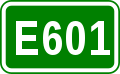 E601 shield