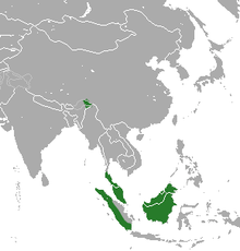 Borneo, western Sumatra, Malay peninsula, and northeastern India