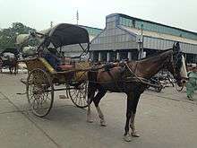 Horse-drawn carriage with a thin horse.