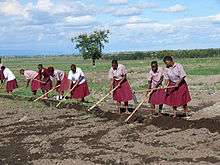 Students Tending School Crops