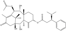 The molecular structure of taxine B