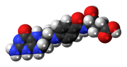 Space-filling model of the tetrahydrofolic acid molecule