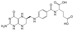 Skeletal formula of tetrahydrofolic acid