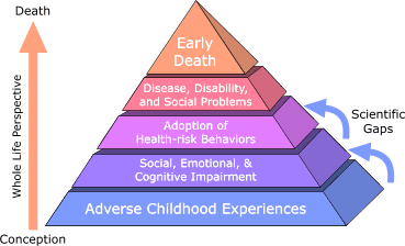 Pyramid with horizontal layers representing, in ascending order, Adverse Childhood Experiences; Social, Emotional, and Cognitive Impairment; Adoption of Health-risk Behaviors; Disease, Disability, and Social Problems; and Early Death. A vertical arrow represents the course of life beginning at the base and moving upward. Smaller arrows depict gaps in scientific knowledge about the links between Adverse Childhood Experiences and latter risk factors.