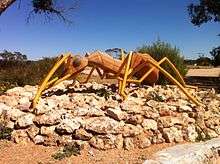 A large yellow sculpture of Nothomyrmecia is located in Poochera