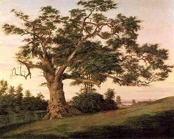 painting of an oak tree