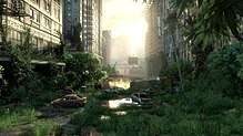 A location, formerly a city street, with overgrown plants, broken cars and flooding.