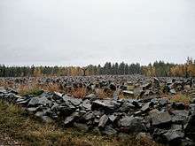 Thousands of scattered rocks litter the landscape. In the distance, leaves of trees are slowly turning yellow. It is the site of a Winter War monument at Suomussalmi, Finland, containing a rock for every soldier who died at the Battle of Suomussalmi: 750 Finnish and an estimated 24,000 Soviet.