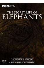 The Secret Life of Elephants DVD cover