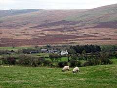 sheep pasture with distant mountainous brown moorland