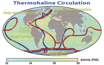 World map with colored, directed lines showing how water moves through the oceans. Cold deep water rises and warms in the central Pacific and in the Indian, whereas warm water sinks and cools near Greenland in the North Atlantic and near Antarctica in the South Atlantic.