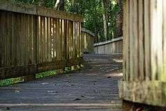 Photograph of part of the boardwalk at Tibet-Butler Preserve