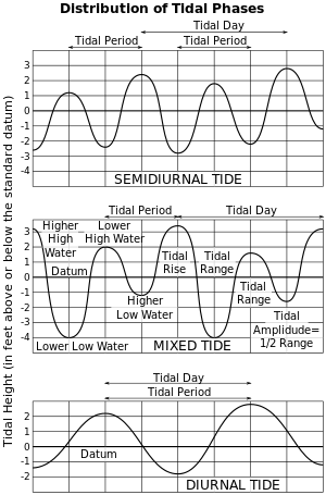 Three graphs. The first shows the twice-daily rising and falling tide pattern with nearly regular high and low elevations. The second shows the much more variable high and low tides that form a "mixed tide". The third shows the day-long period of a diurnal tide.