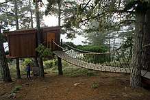 A cabin is built attached to four trees about 10 feet above grade. An elevated walkway is connected to the cabin's entrance.