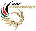 Badge of United Arab Emirates team