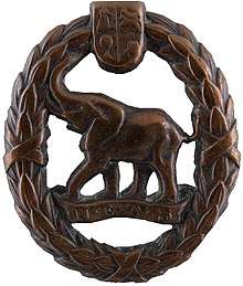 Directorate Non European Army Services badge