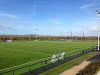 Large, synthetic-grass playing fields