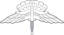 Army & Air Force HALO/HAHO Badge