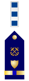 U.S. Coast Guard chief warrant officer 4 rank insignia