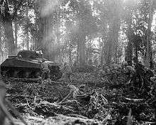 Infantry advance cautiously through the jungle alongside tanks