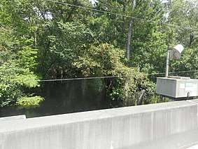 The Little Withlacoochee River as seen from US 301.